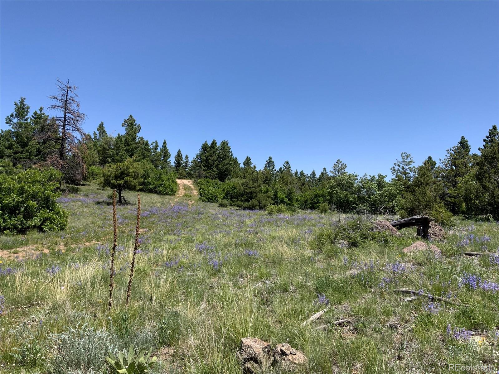 000 Peak View Ridge Canon City CO 81212