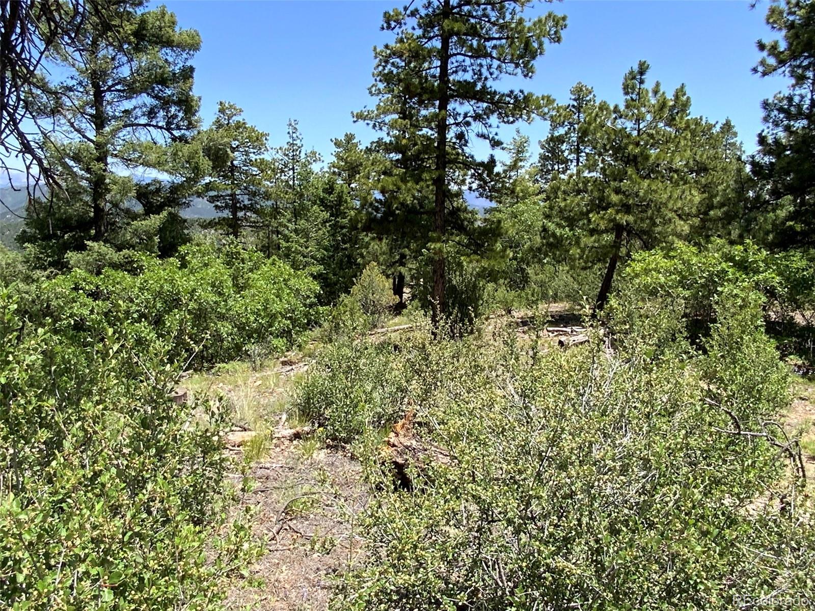 000 Peak View Ridge Canon City CO 81212