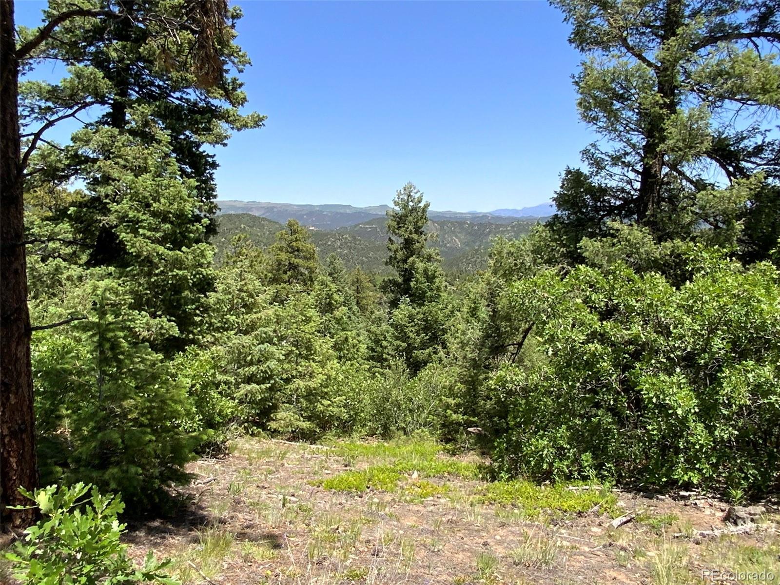 000 Peak View Ridge Canon City CO 81212