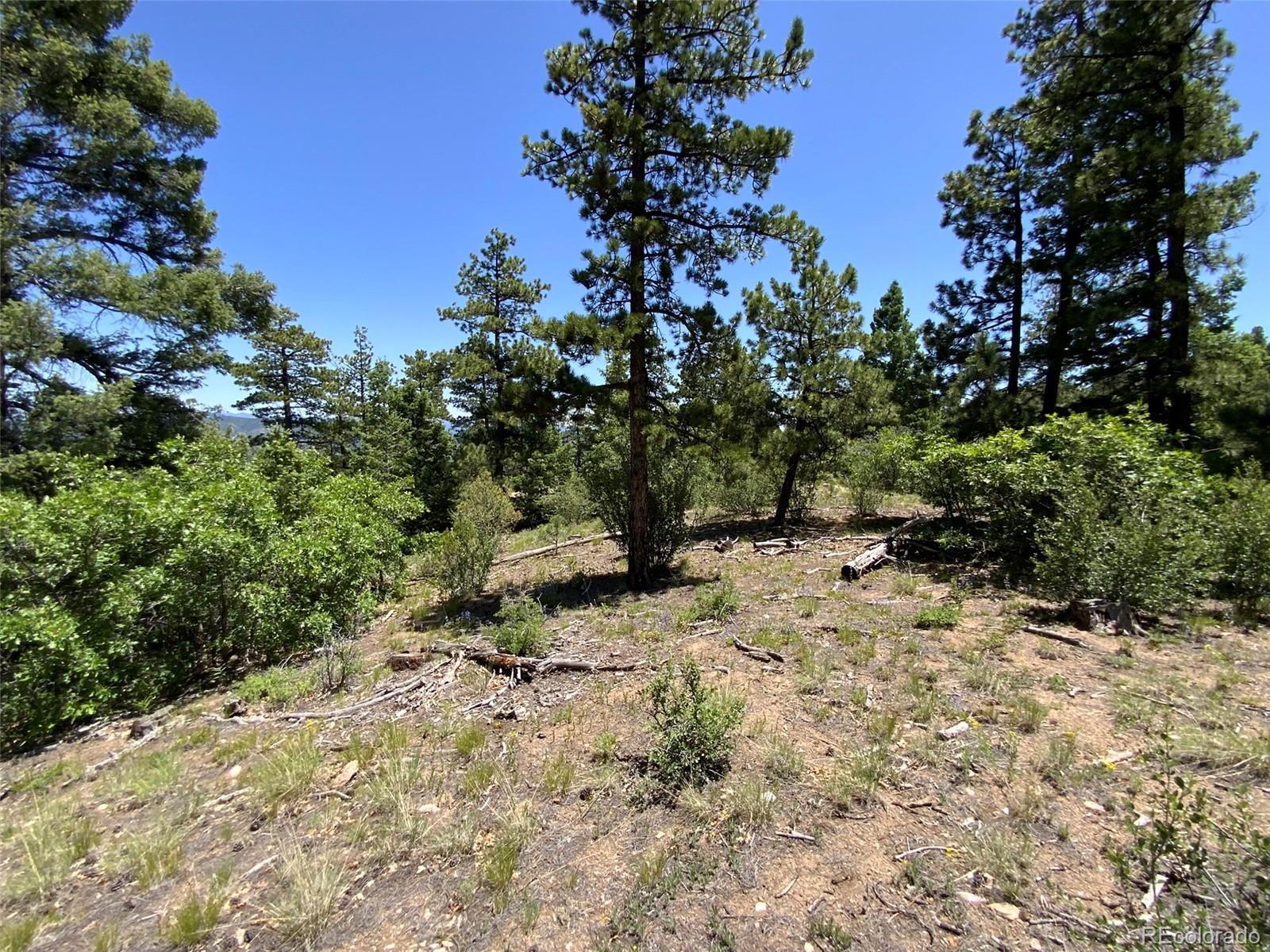 000 Peak View Ridge Canon City CO 81212