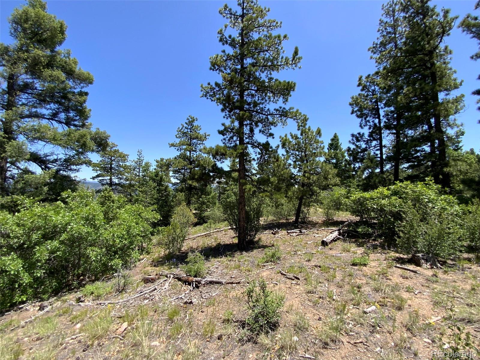 000 Peak View Ridge Canon City CO 81212