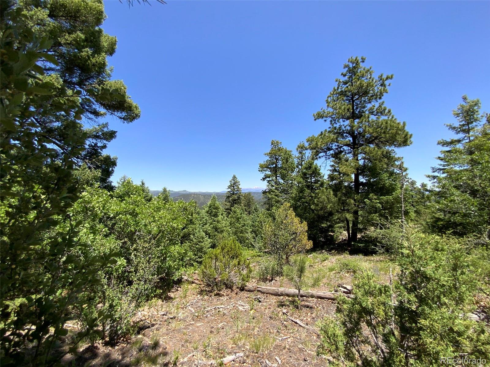 000 Peak View Ridge Canon City CO 81212