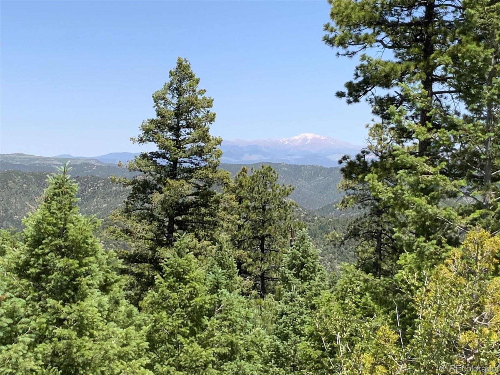 000 Peak View Ridge Canon City CO 81212