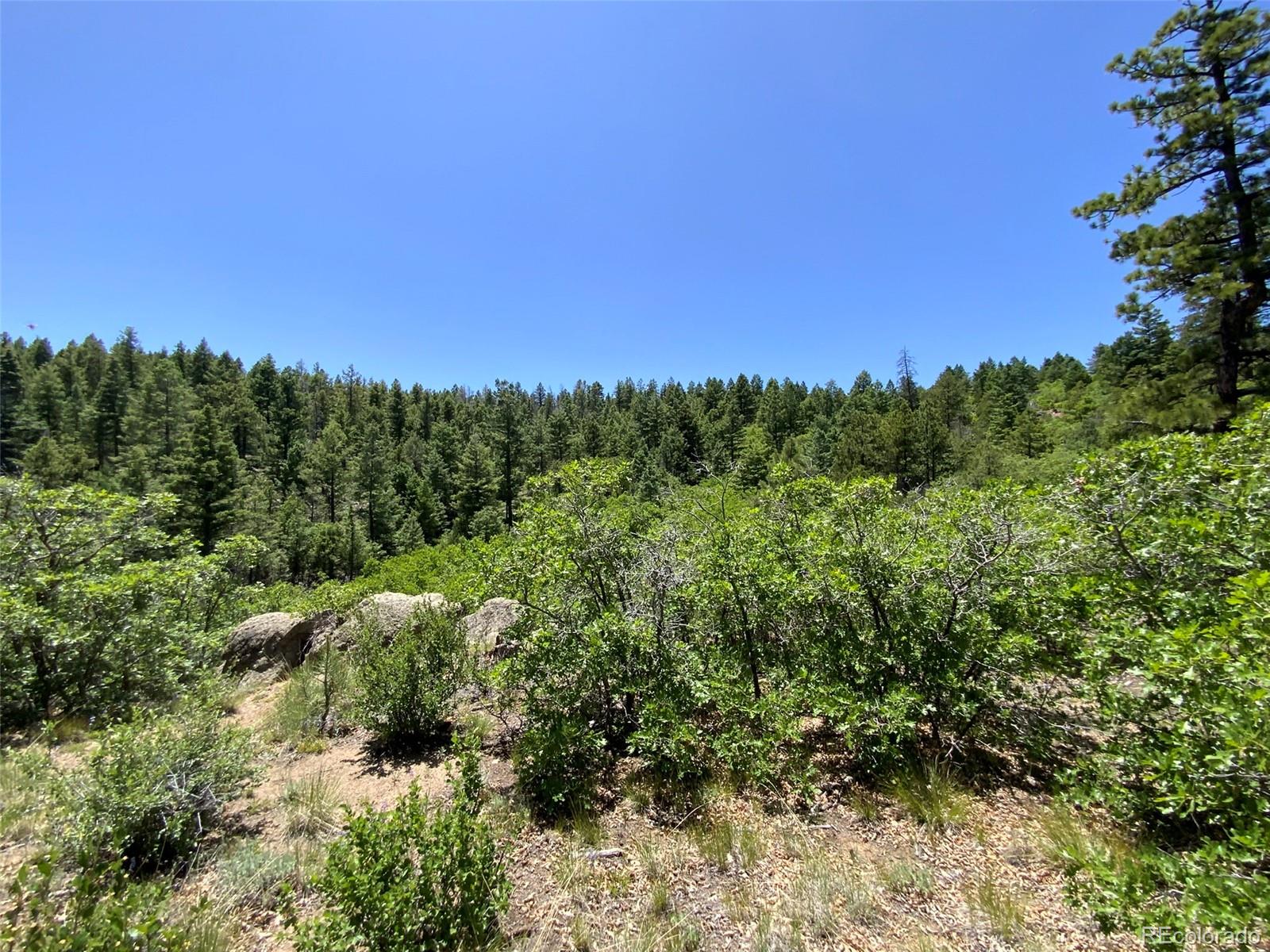 000 Peak View Ridge Canon City CO 81212