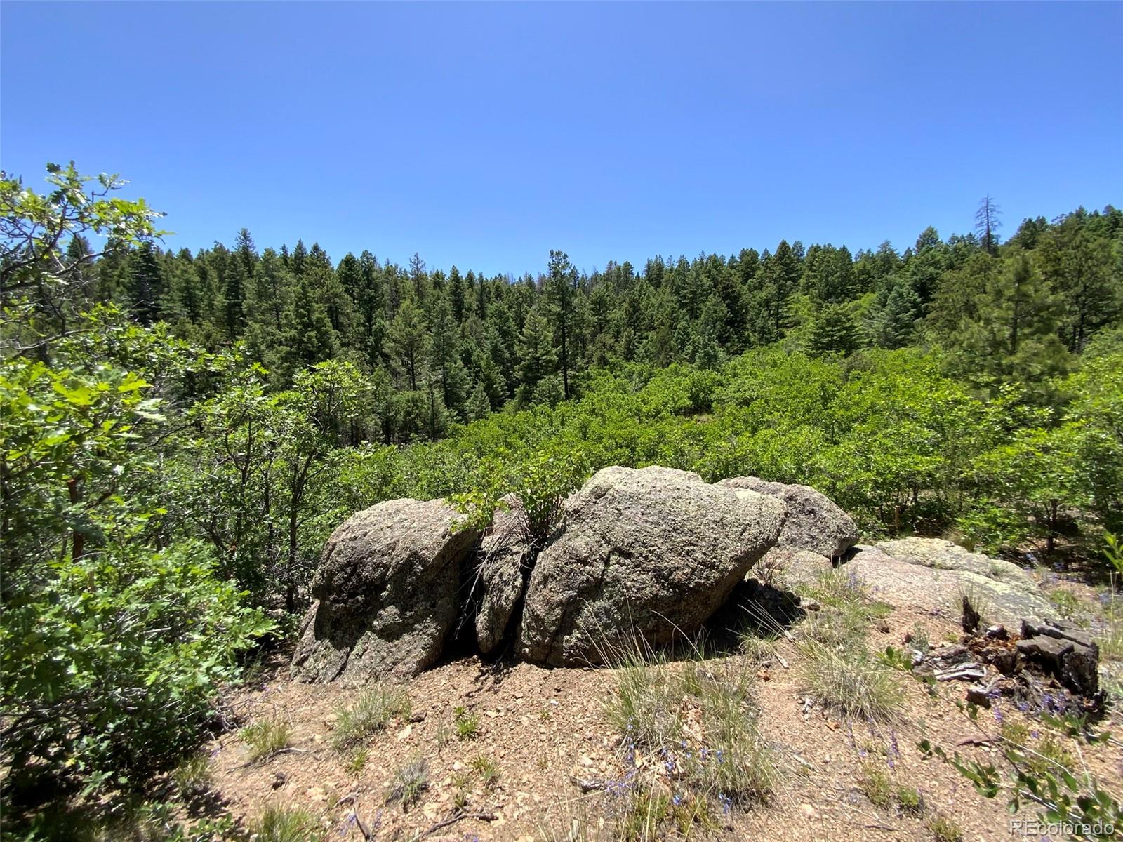 000 Peak View Ridge Canon City CO 81212
