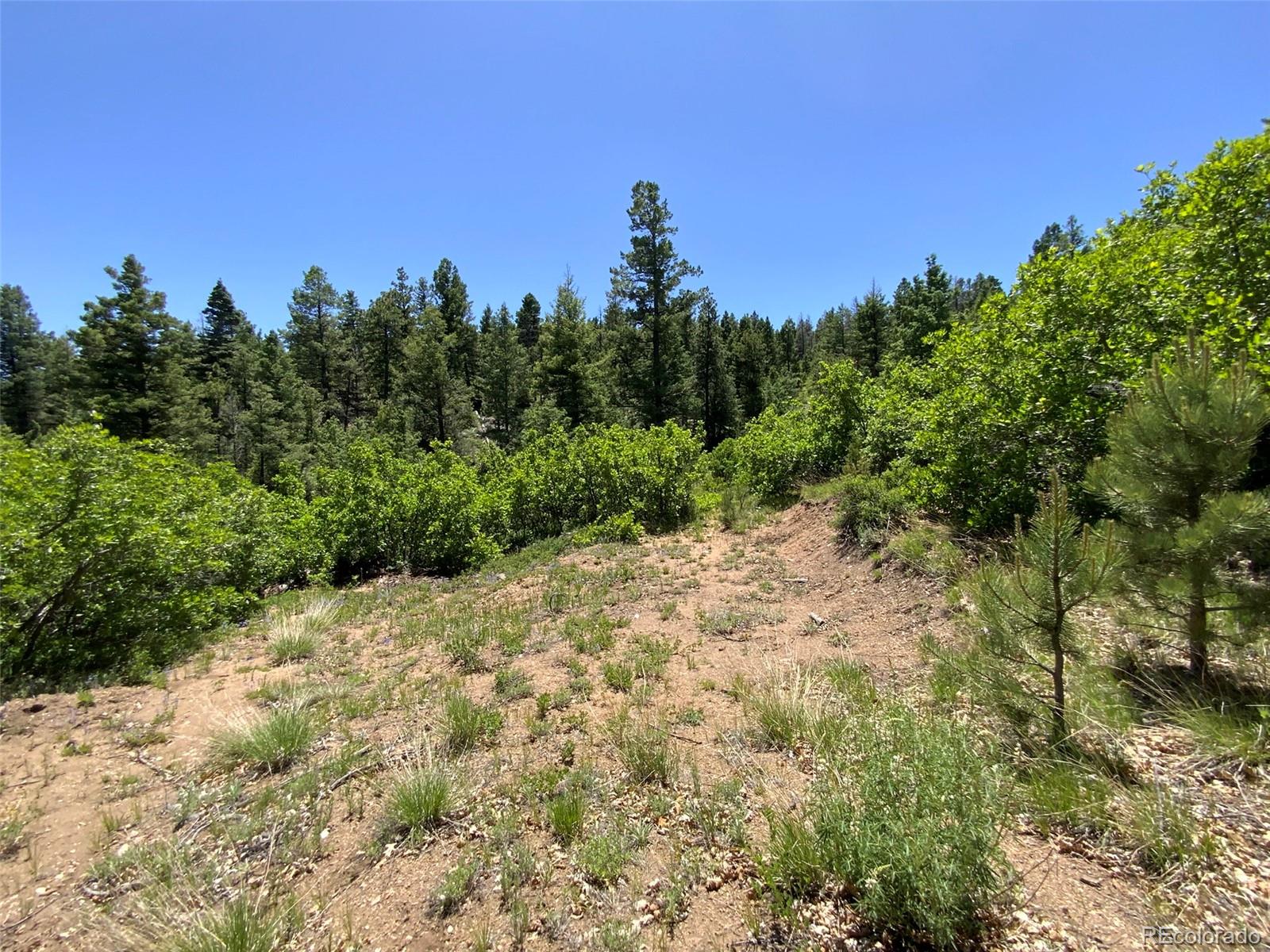 000 Peak View Ridge Canon City CO 81212
