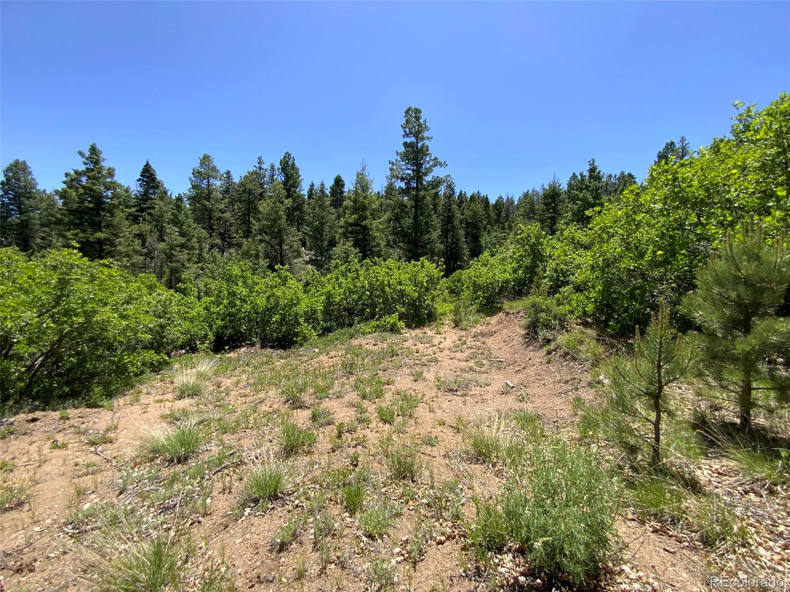 000 Peak View Ridge Canon City CO 81212