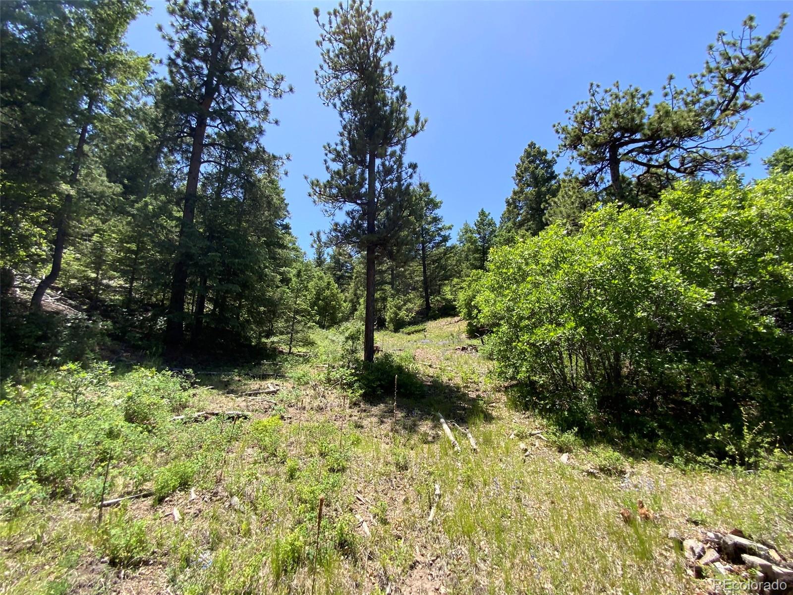 000 Peak View Ridge Canon City CO 81212