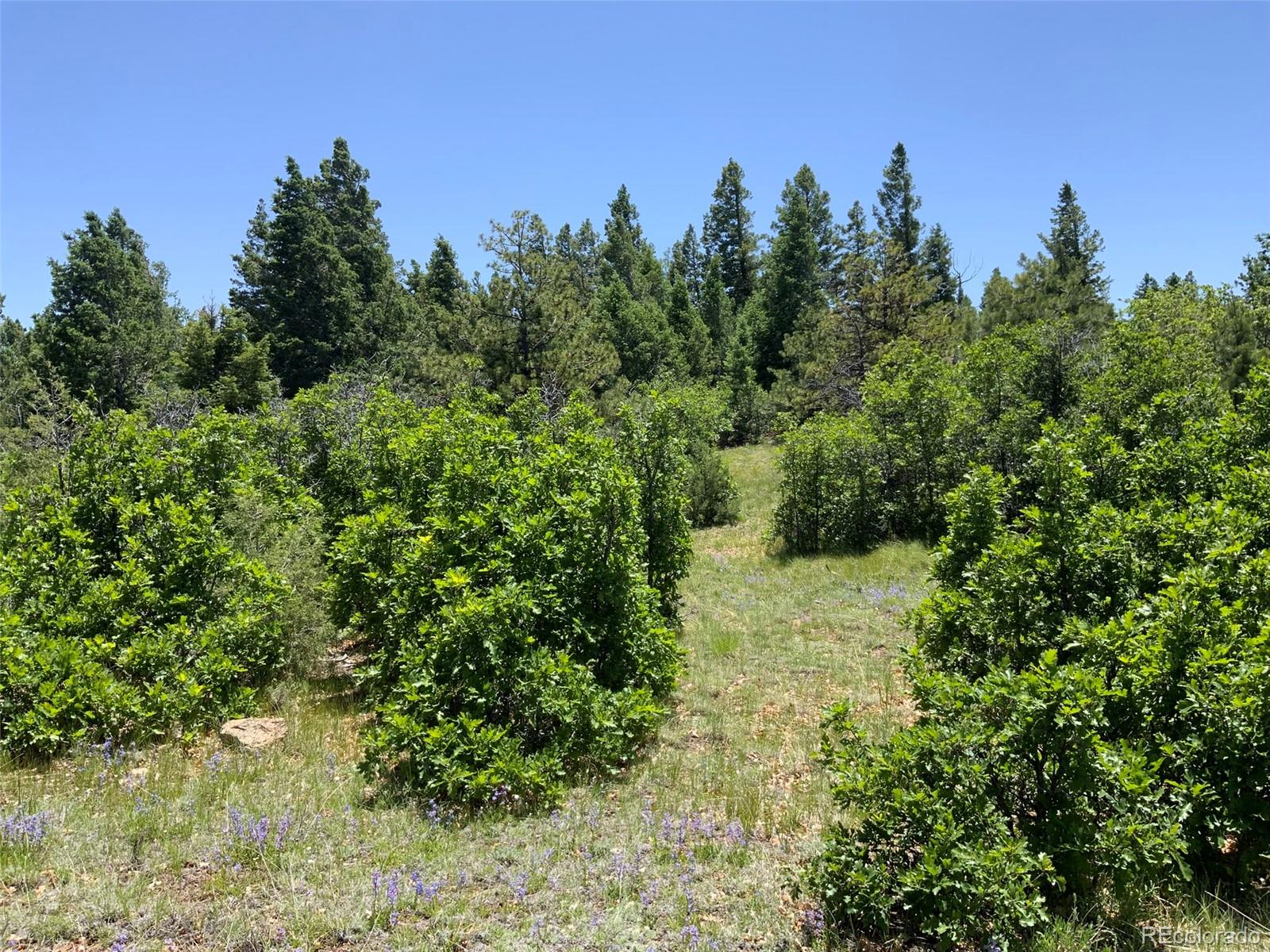 000 Peak View Ridge Canon City CO 81212