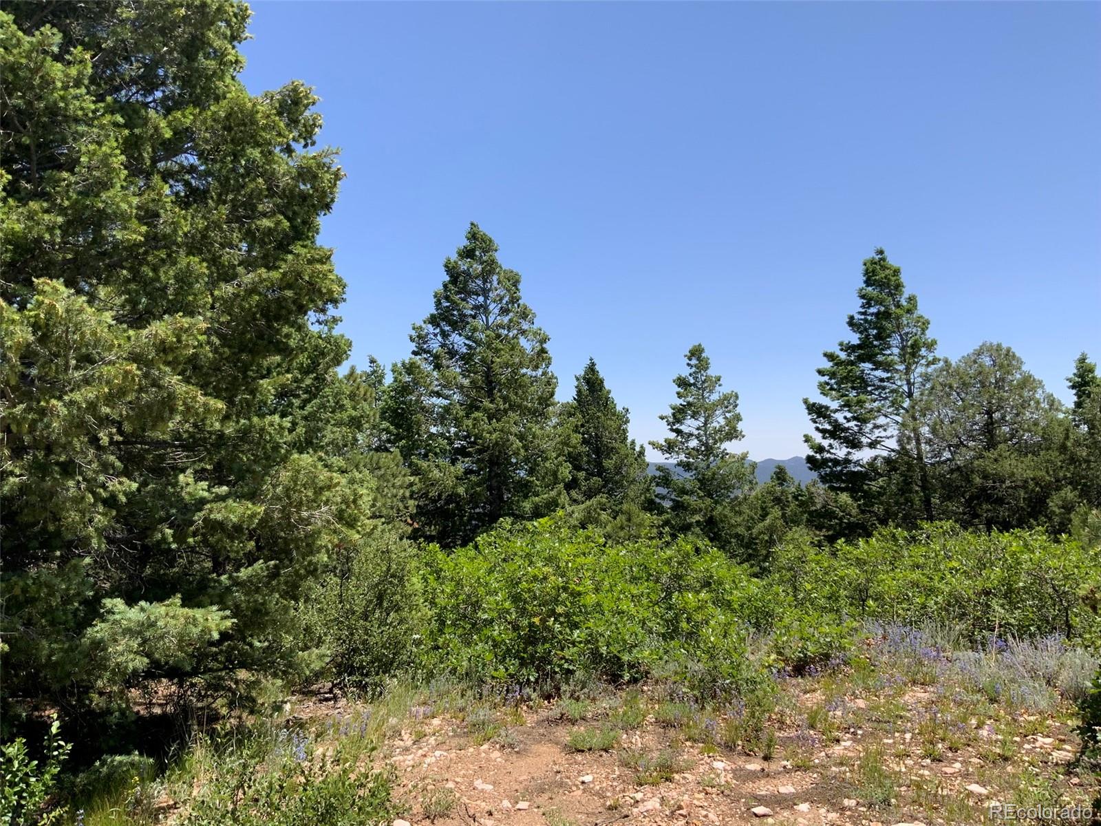 000 Peak View Ridge Canon City CO 81212