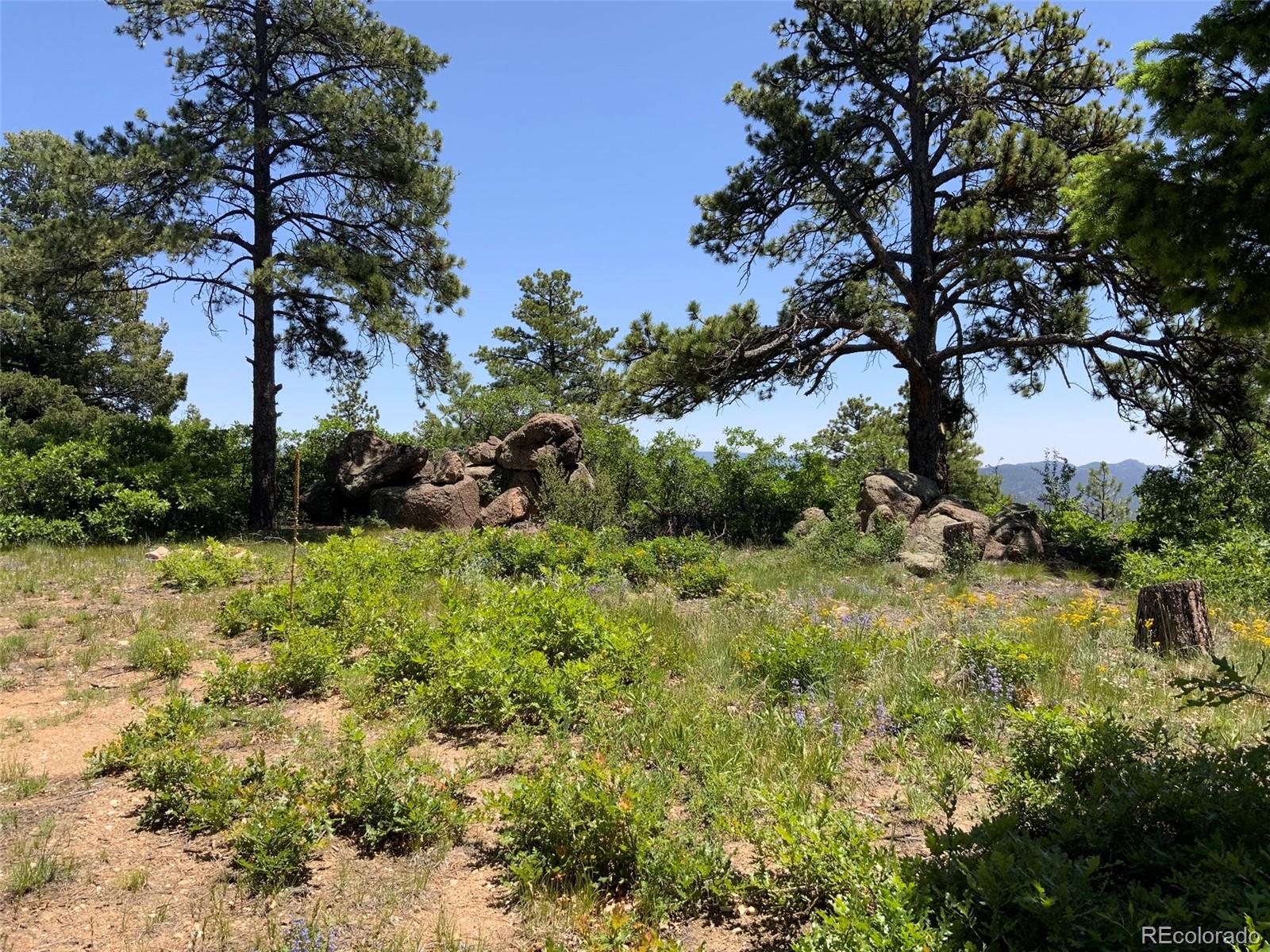 000 Peak View Ridge Canon City CO 81212