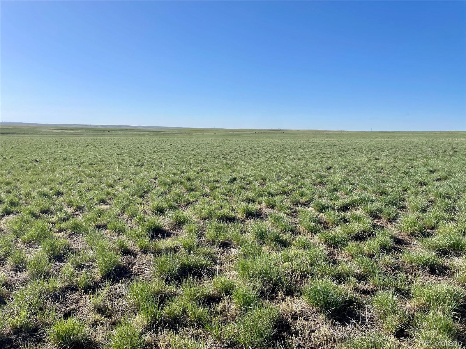 County Road 125 Deer Trail CO 80105