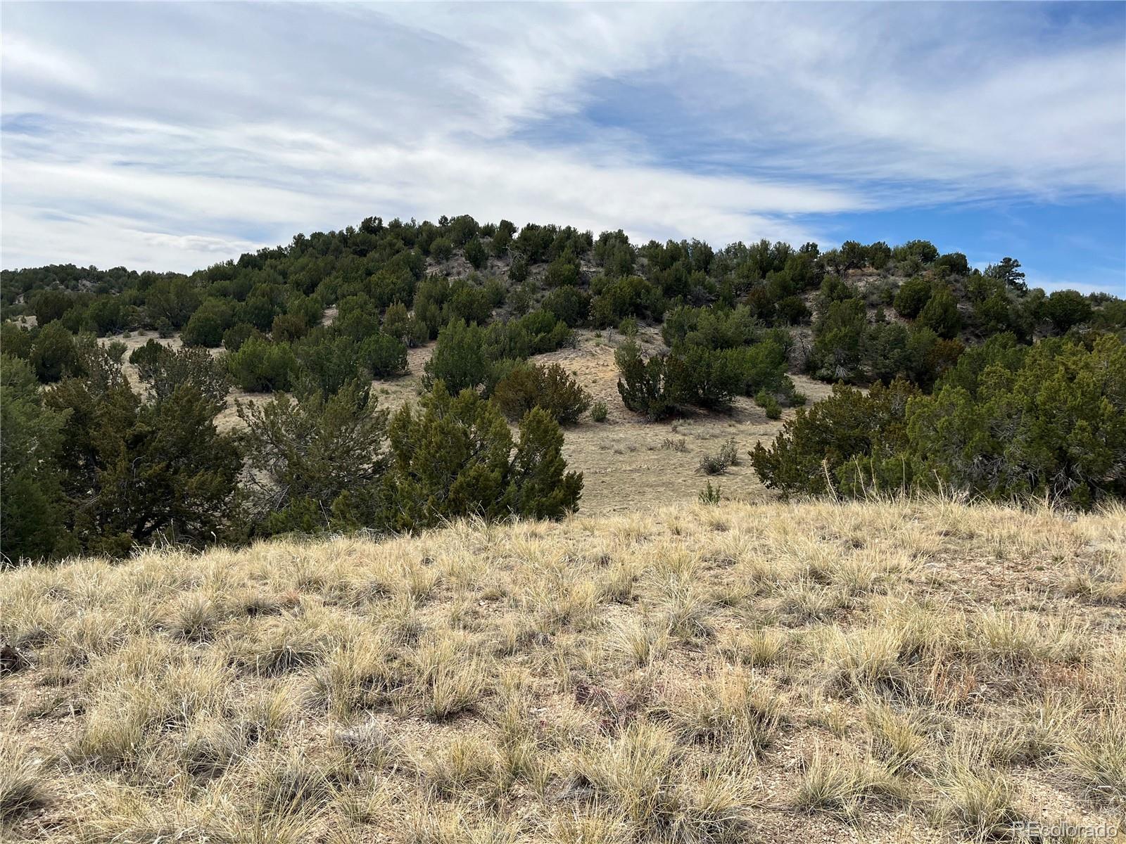 Lot 2 Red Creek Springs Road Pueblo CO 81005