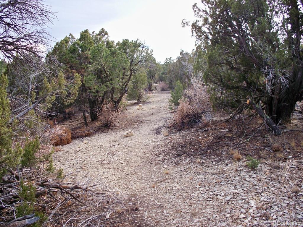 Lot 2 Red Creek Springs Road Pueblo CO 81005