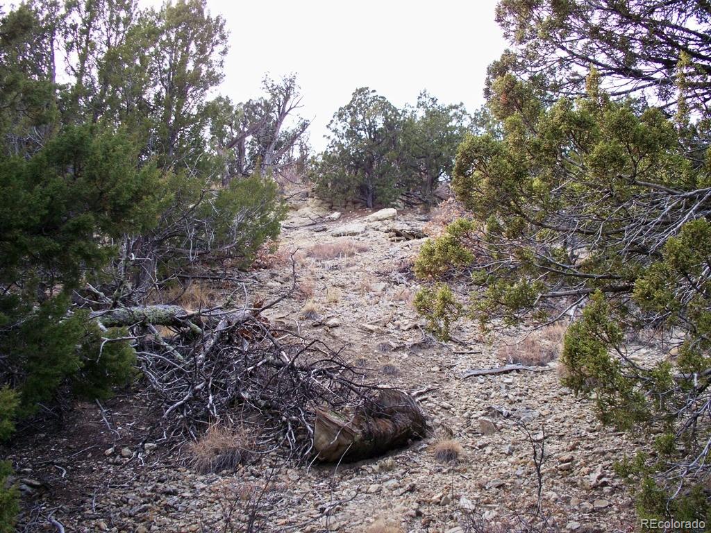 Lot 2 Red Creek Springs Road Pueblo CO 81005