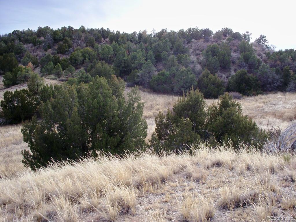 Lot 2 Red Creek Springs Road Pueblo CO 81005