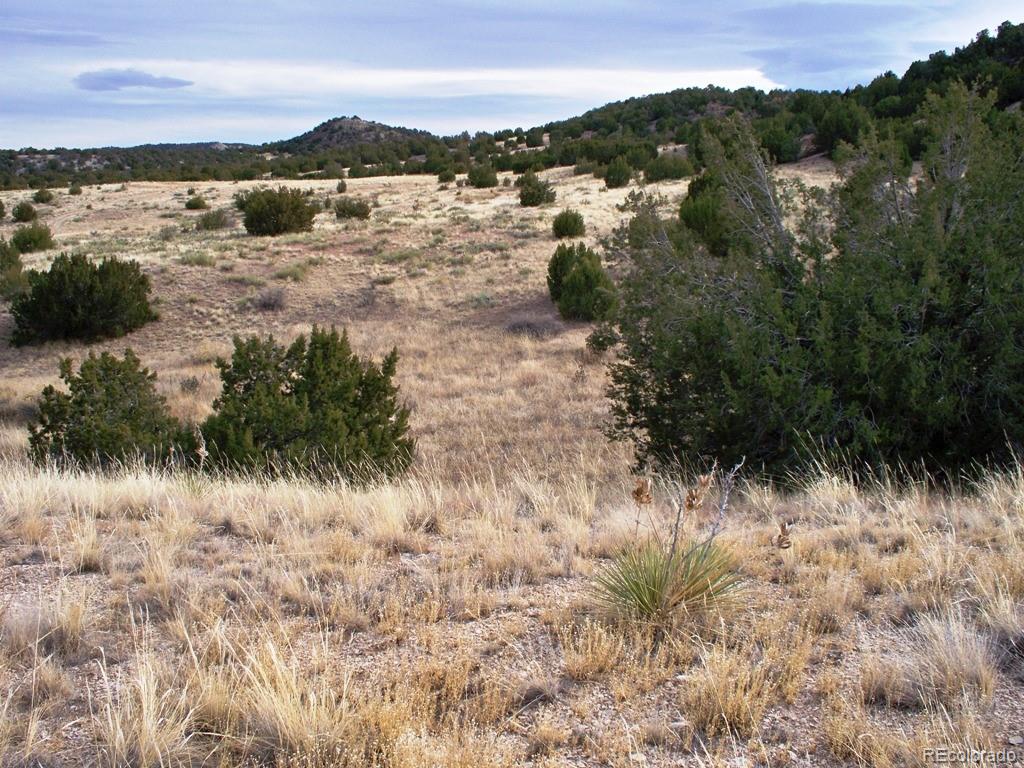 Lot 2 Red Creek Springs Road Pueblo CO 81005