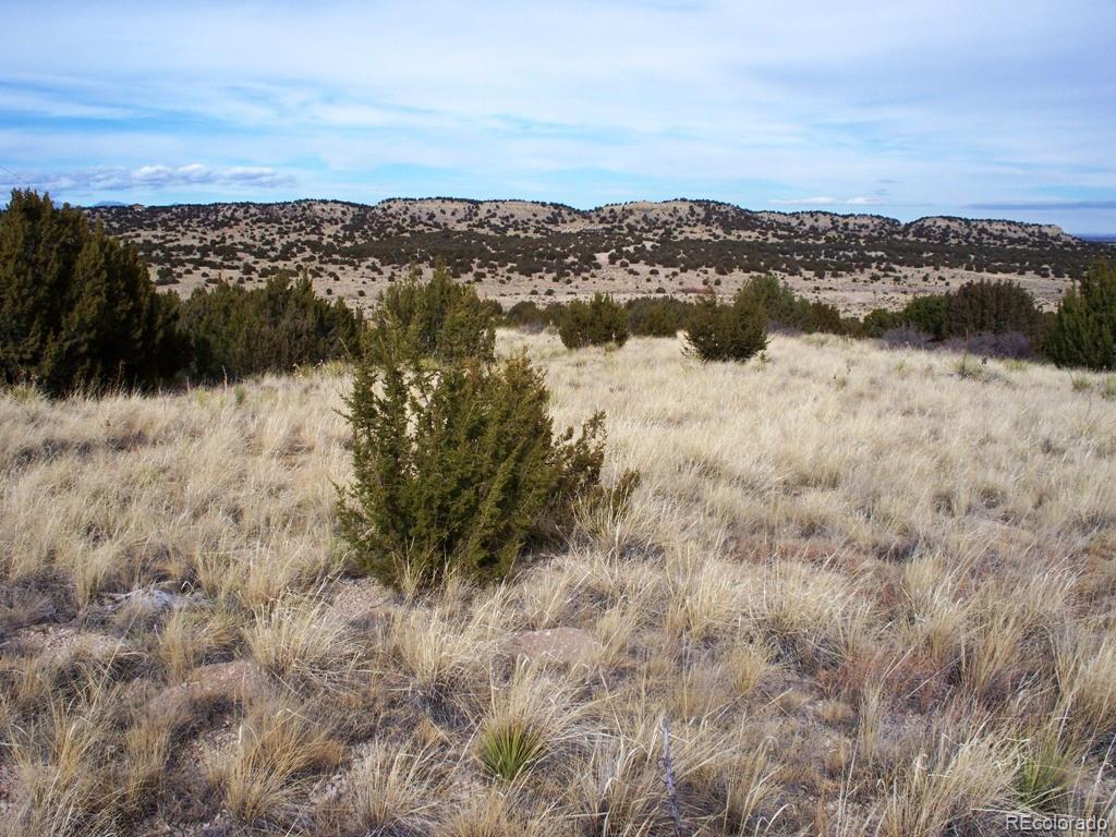Lot 2 Red Creek Springs Road Pueblo CO 81005