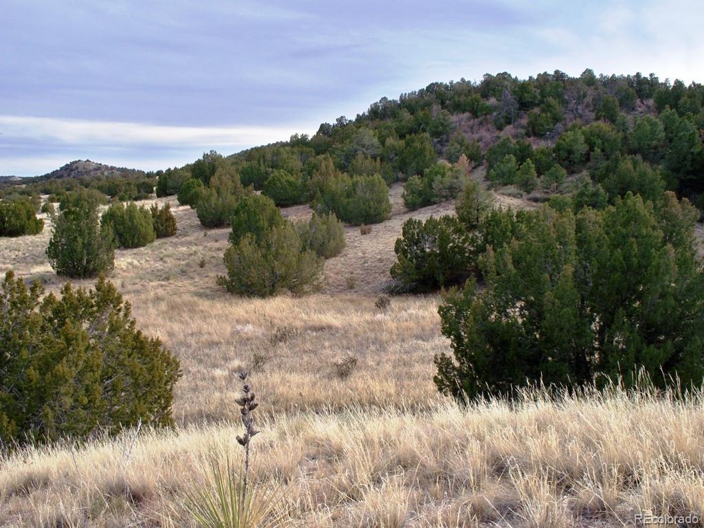 Lot 2 Red Creek Springs Road Pueblo CO 81005