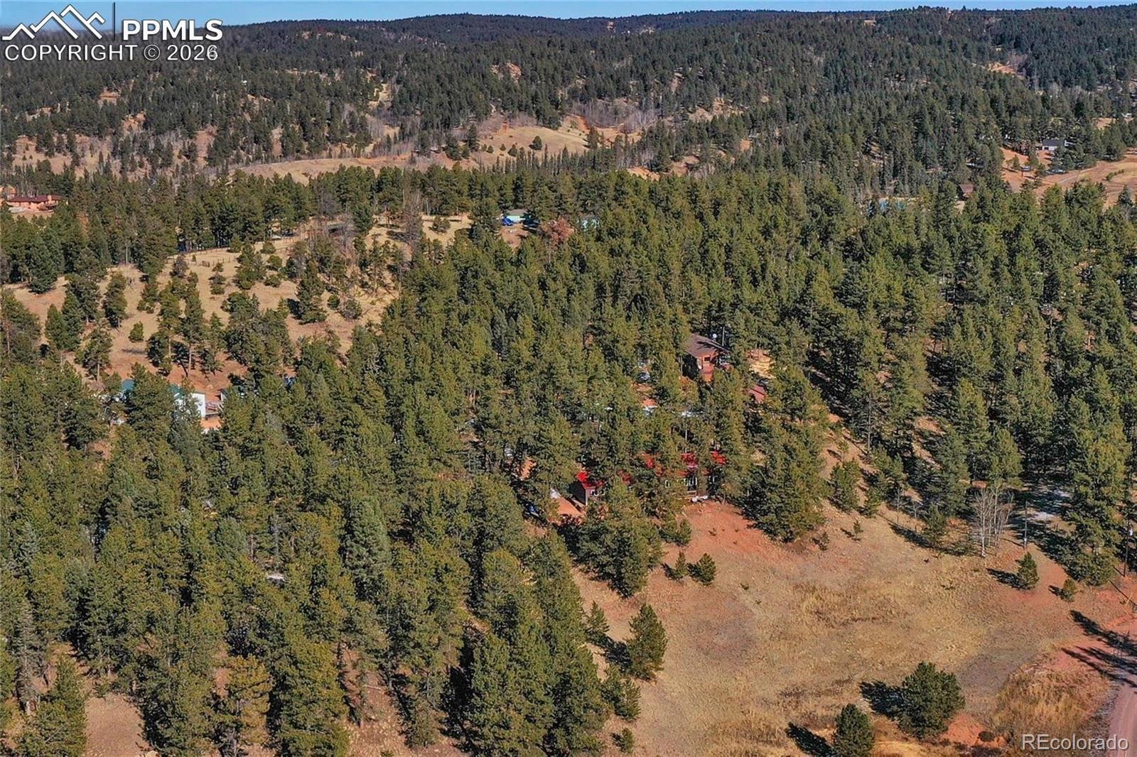 683 Kingston Drive Florissant CO 80816