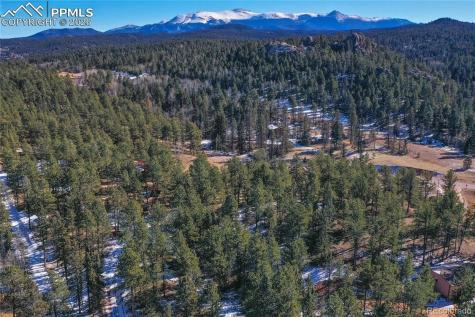683 Kingston Drive Florissant CO 80816