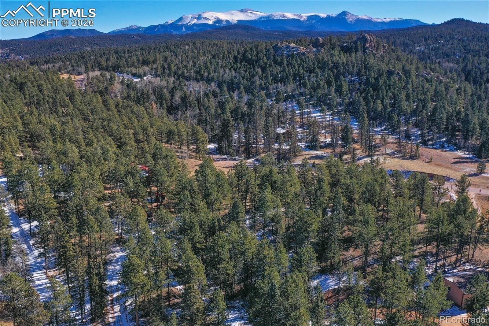 683 Kingston Drive Florissant CO 80816