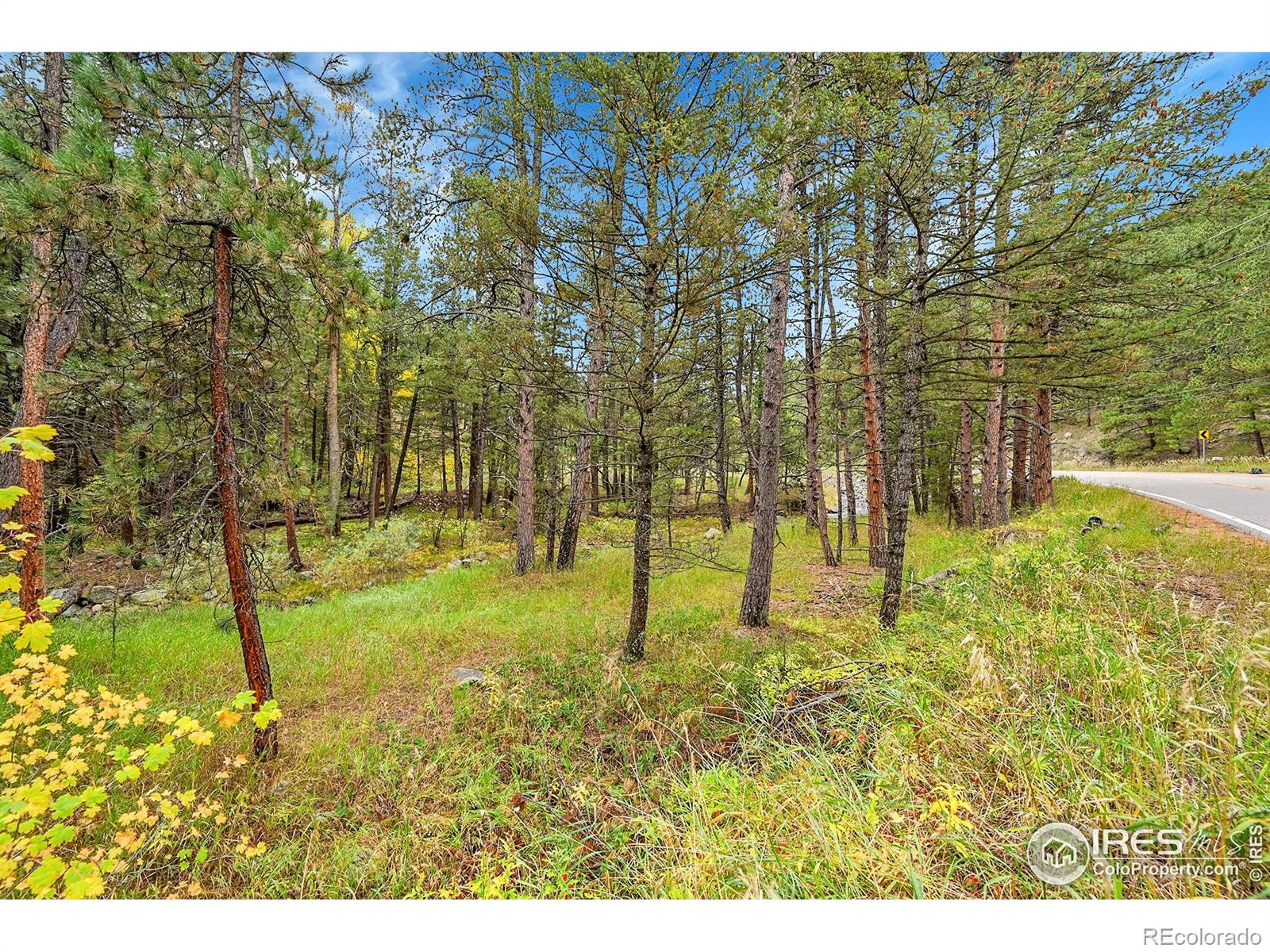 5567 Lefthand Canyon Drive Jamestown CO 80455