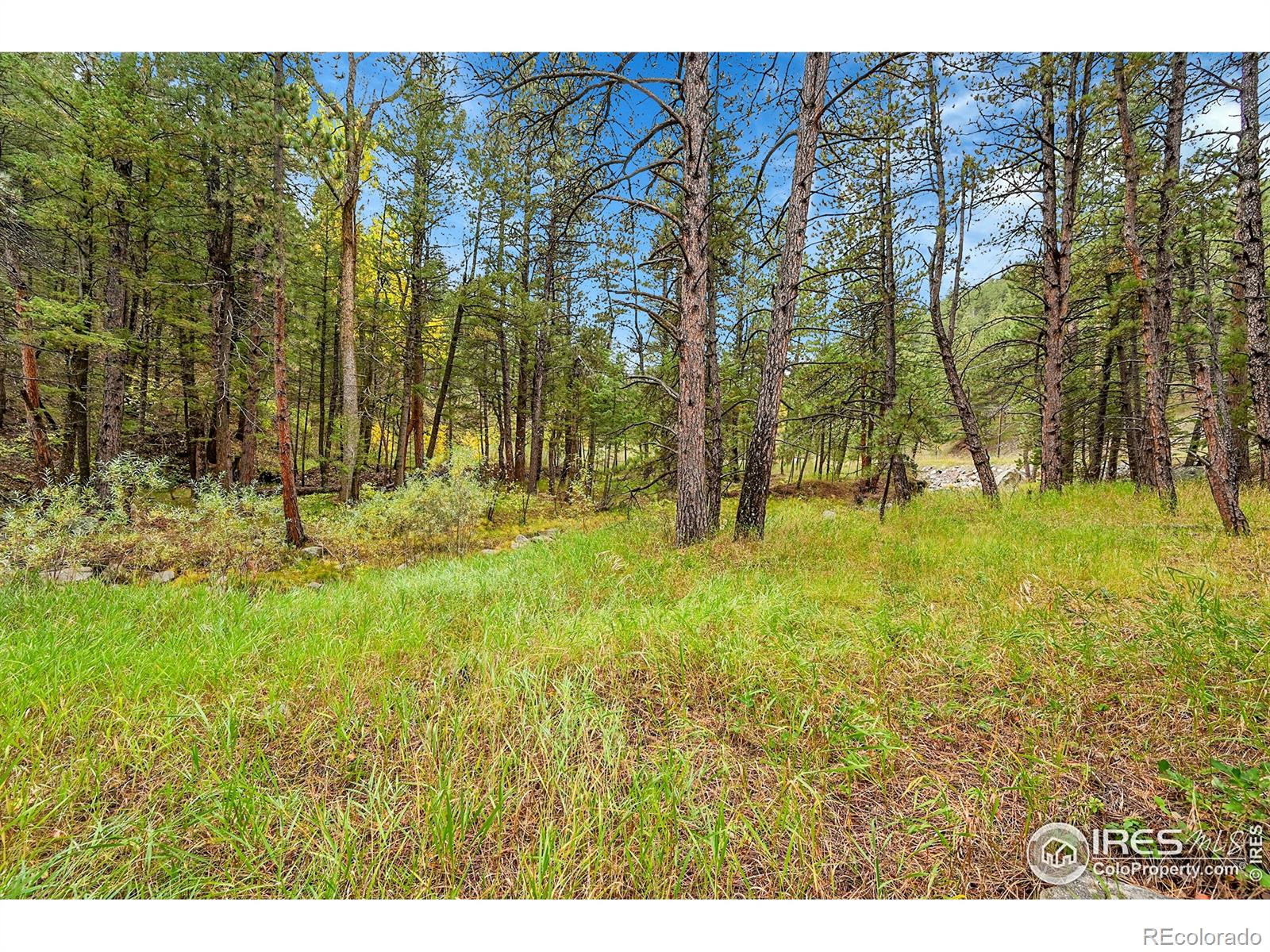 5567 Lefthand Canyon Drive Jamestown CO 80455