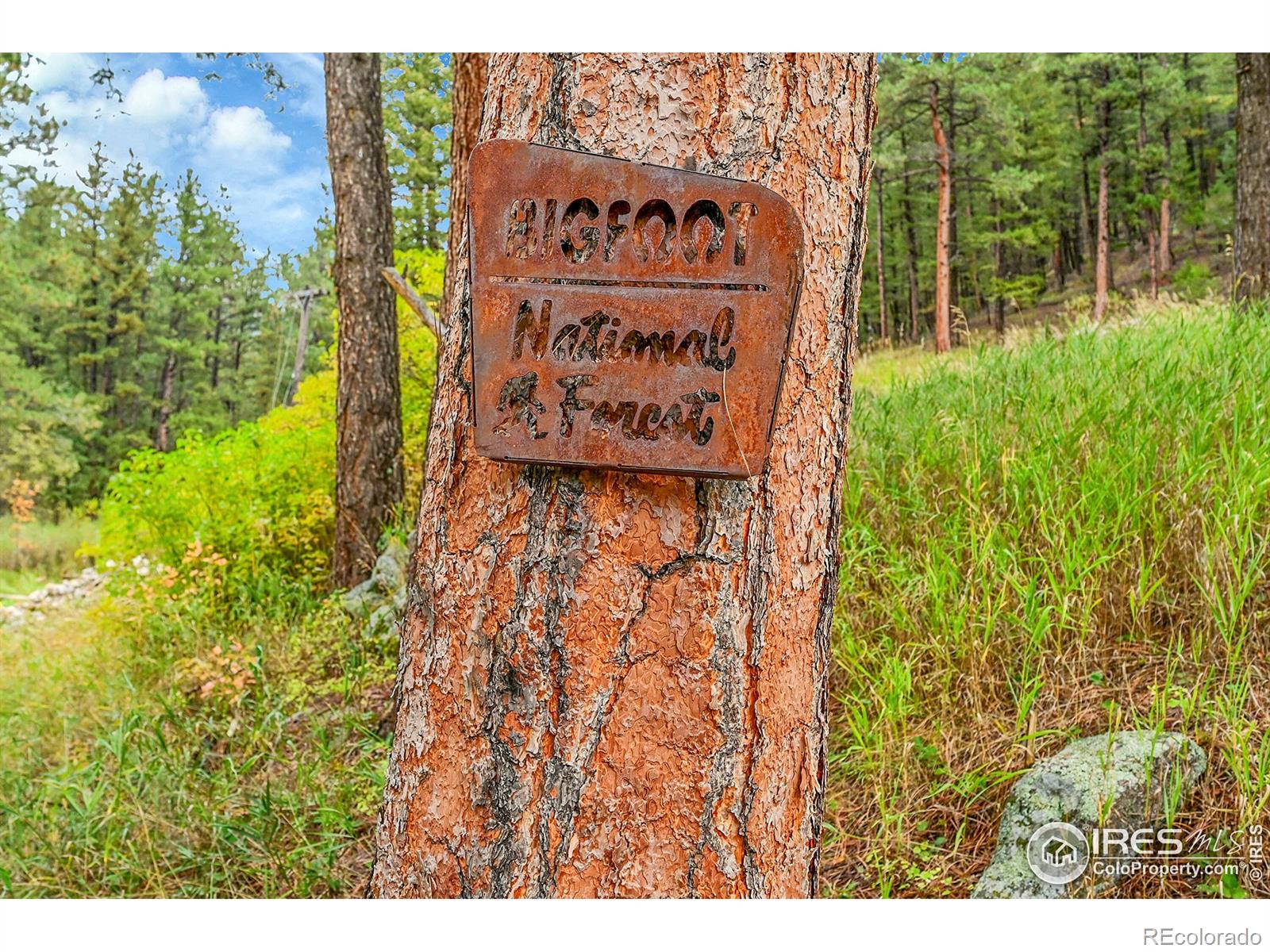 5567 Lefthand Canyon Drive Jamestown CO 80455