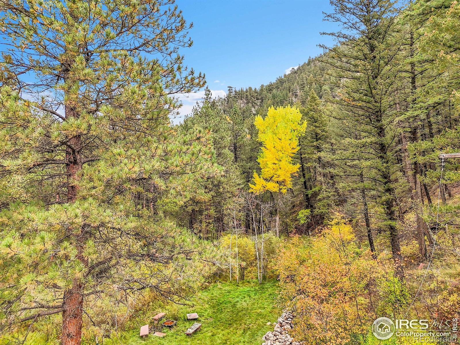 5567 Lefthand Canyon Drive Jamestown CO 80455