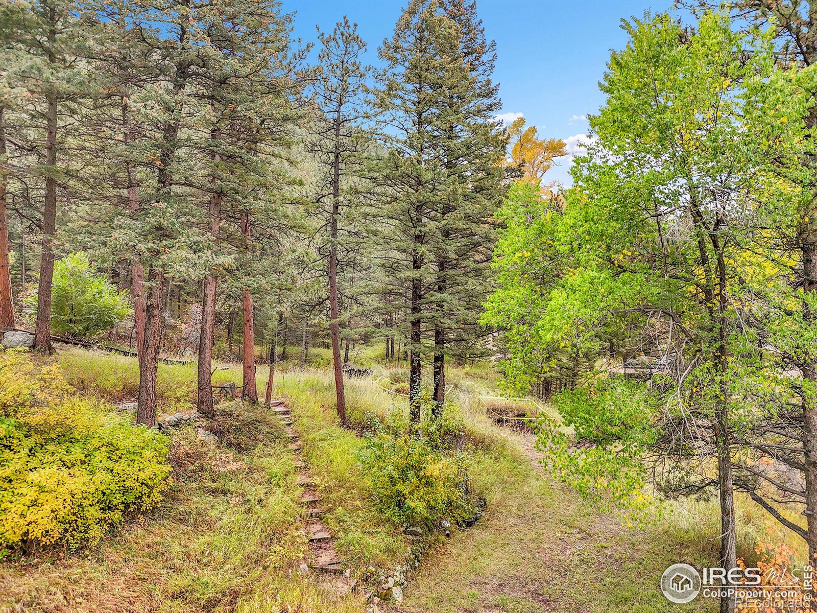 5567 Lefthand Canyon Drive Jamestown CO 80455