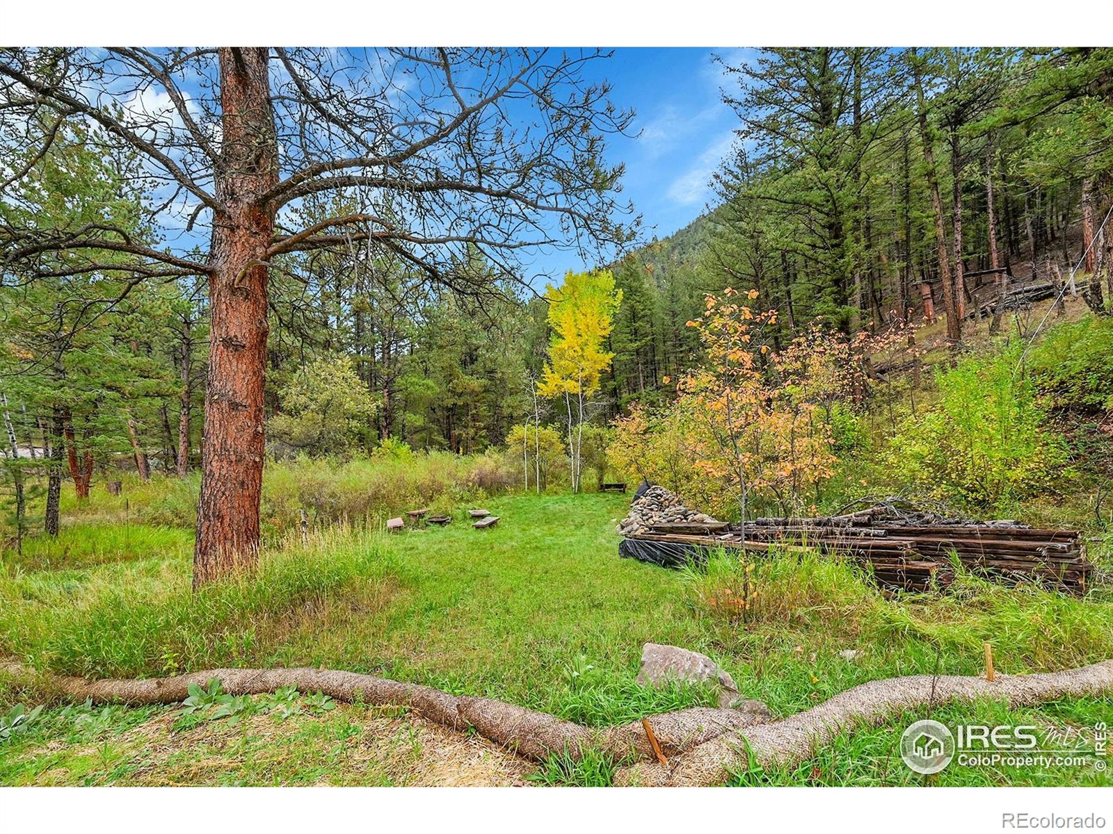 5567 Lefthand Canyon Drive Jamestown CO 80455
