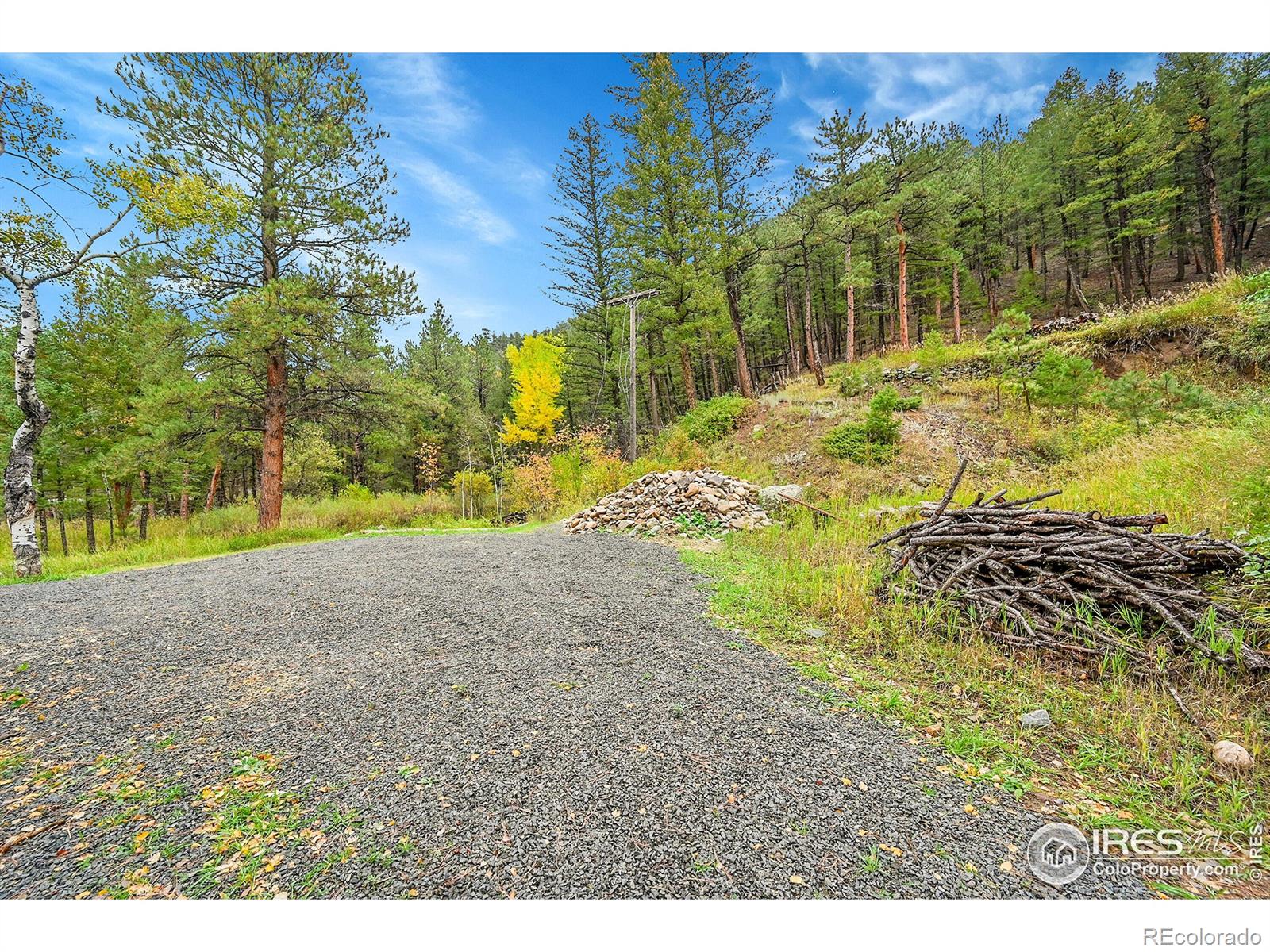 5567 Lefthand Canyon Drive Jamestown CO 80455