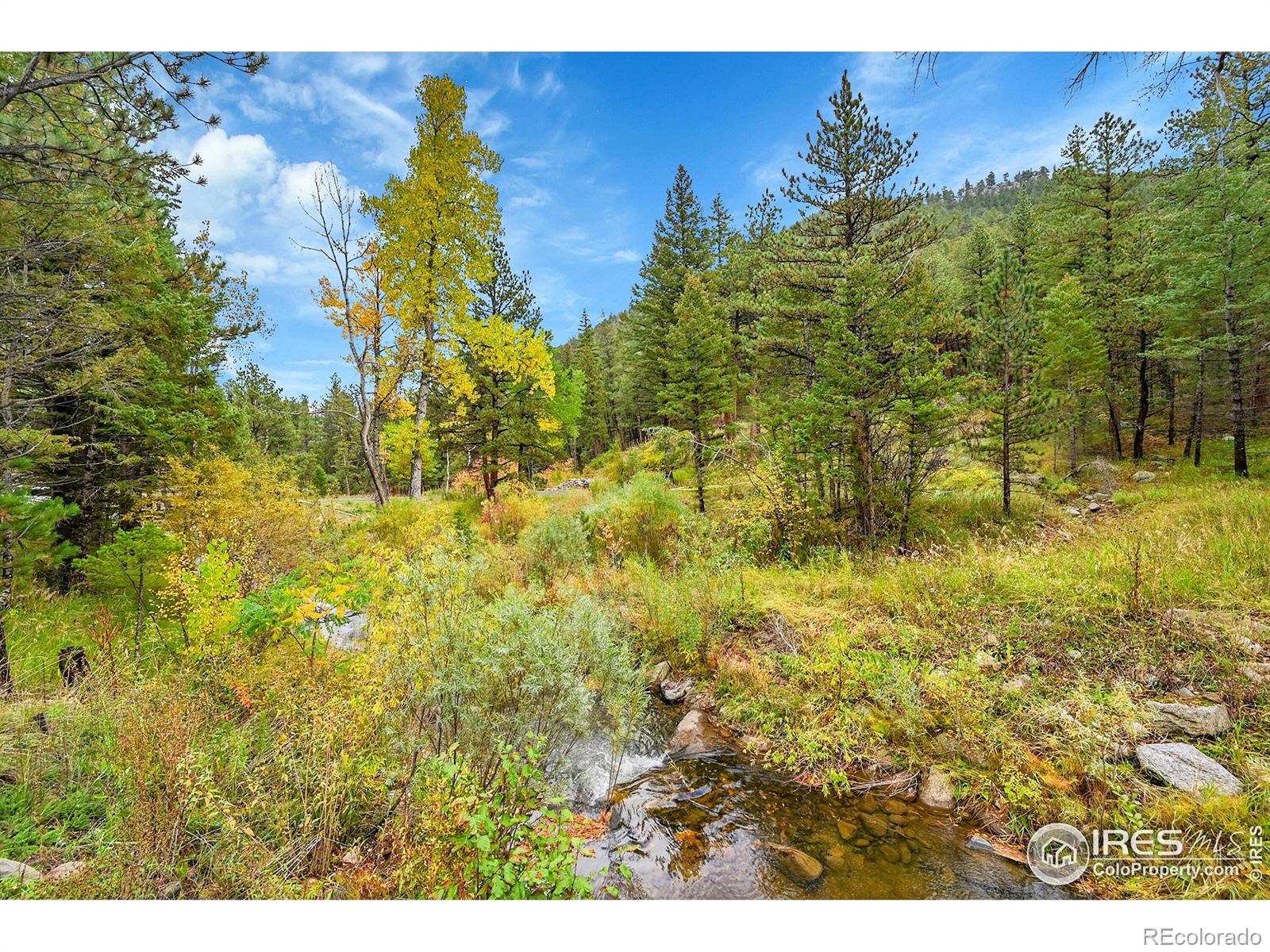 5567 Lefthand Canyon Drive Jamestown CO 80455