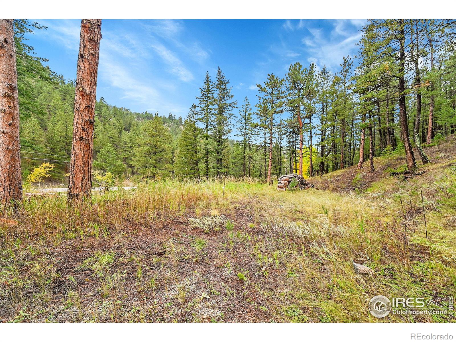 5567 Lefthand Canyon Drive Jamestown CO 80455