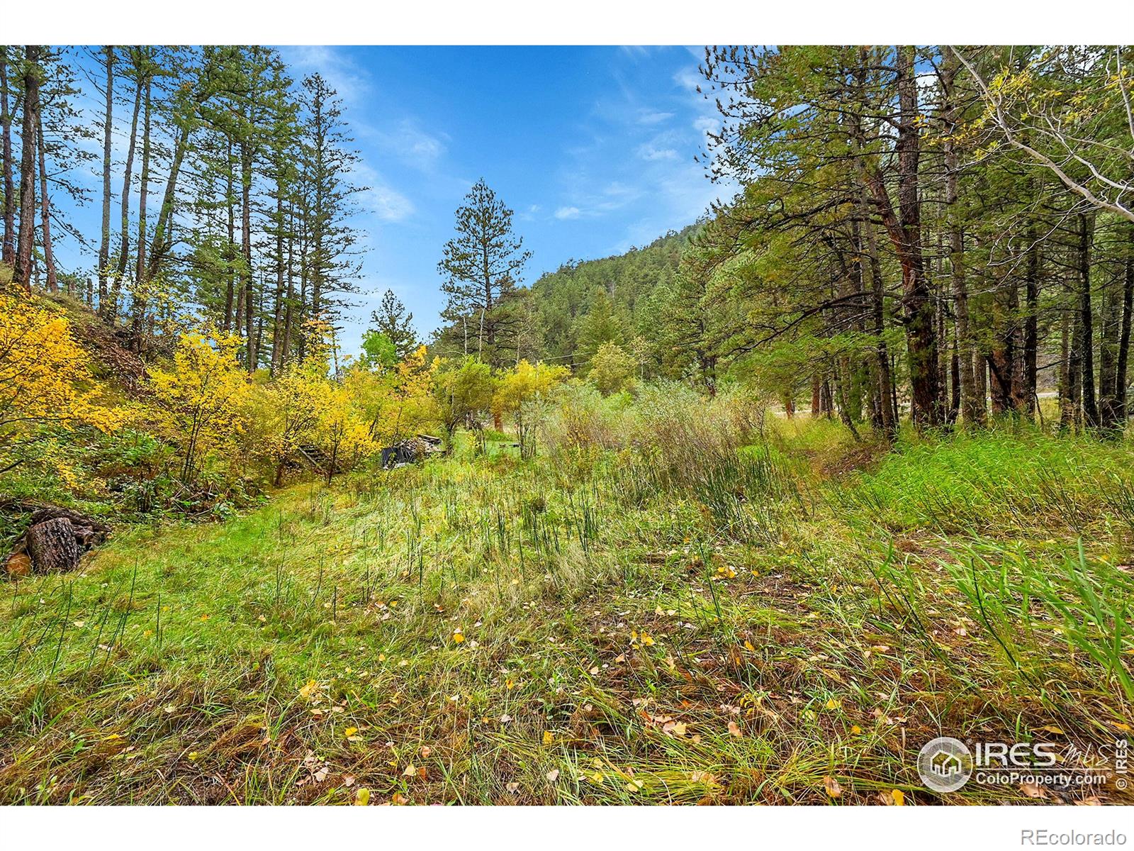 5567 Lefthand Canyon Drive Jamestown CO 80455