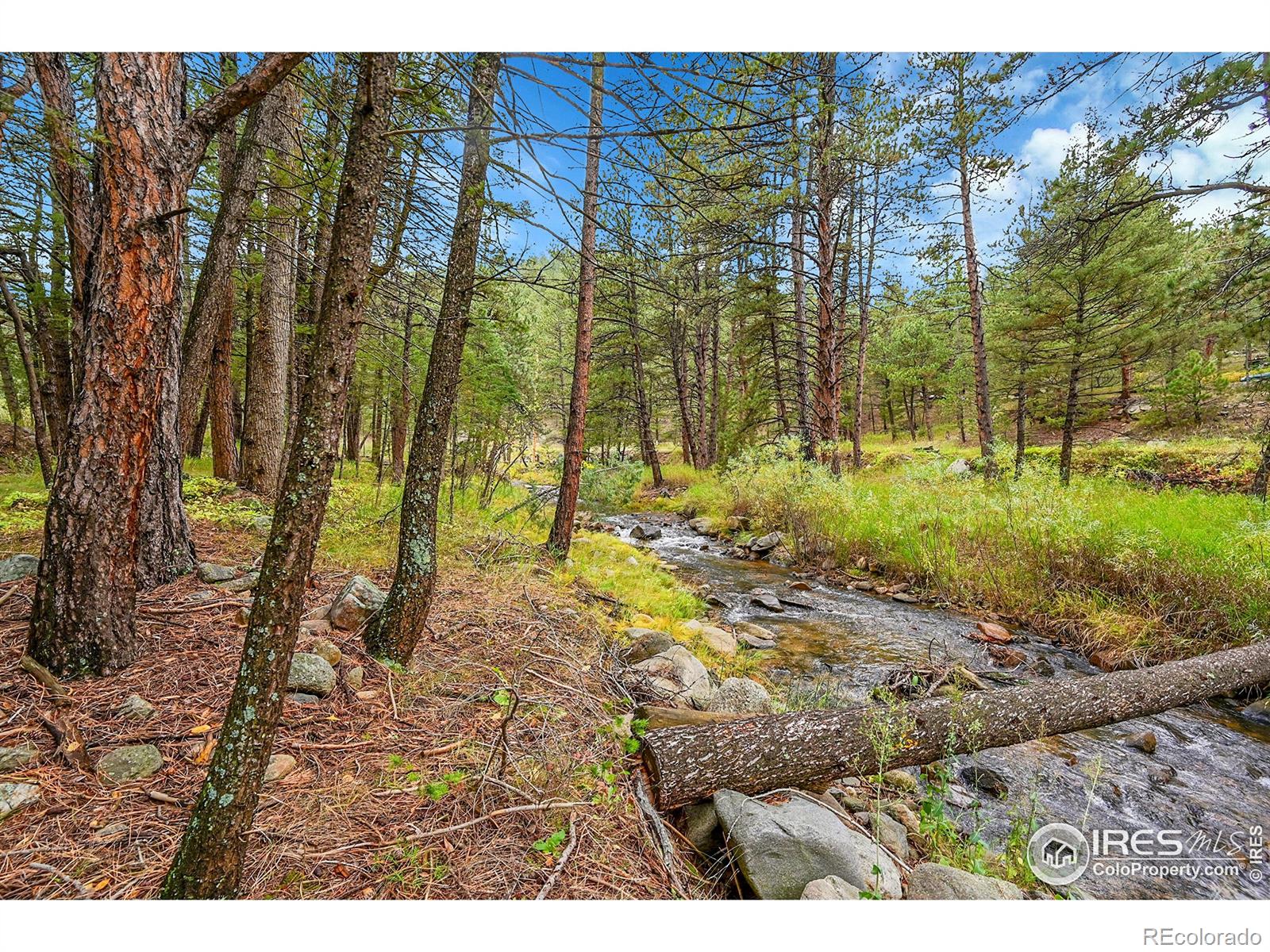 5567 Lefthand Canyon Drive Jamestown CO 80455