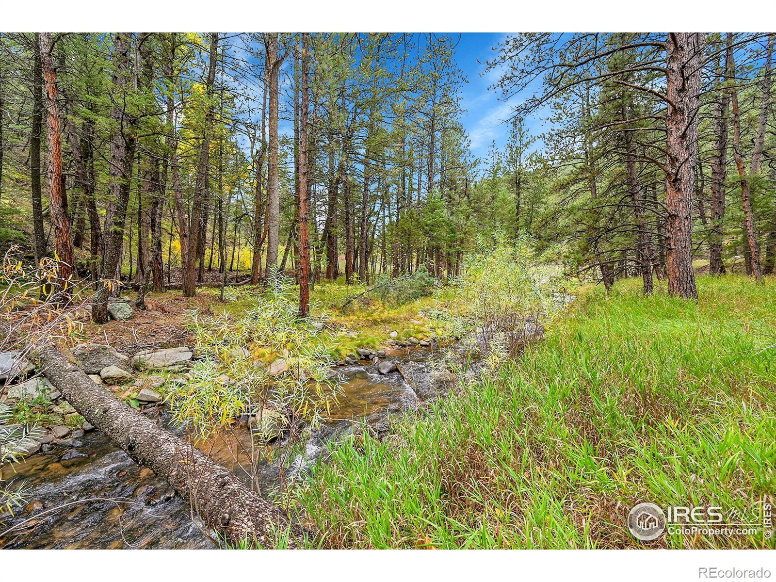 5567 Lefthand Canyon Drive Jamestown CO 80455
