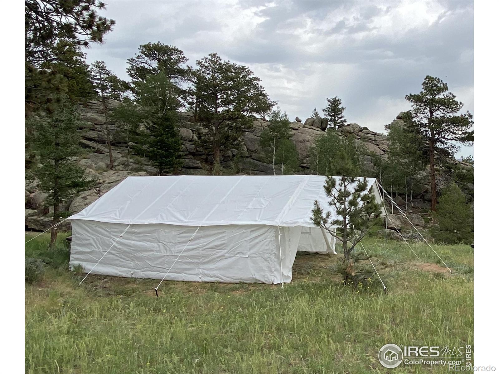 102 Mount Princeton Court Livermore CO 80536