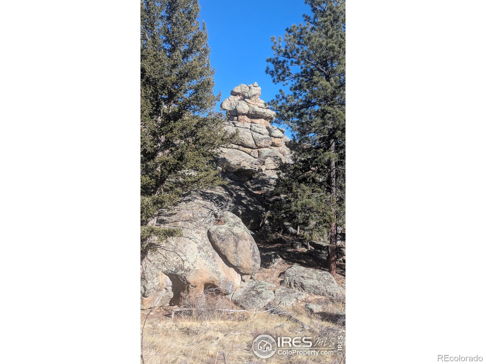 102 Mount Princeton Court Livermore CO 80536
