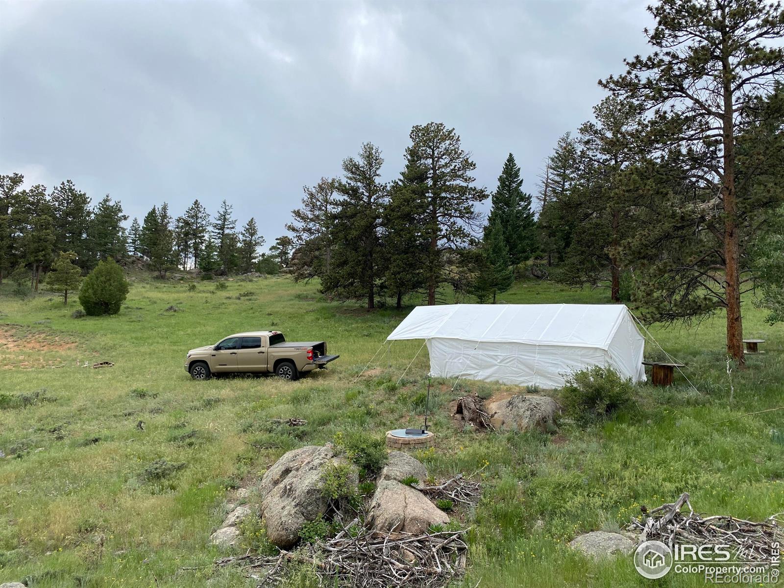 102 Mount Princeton Court Livermore CO 80536