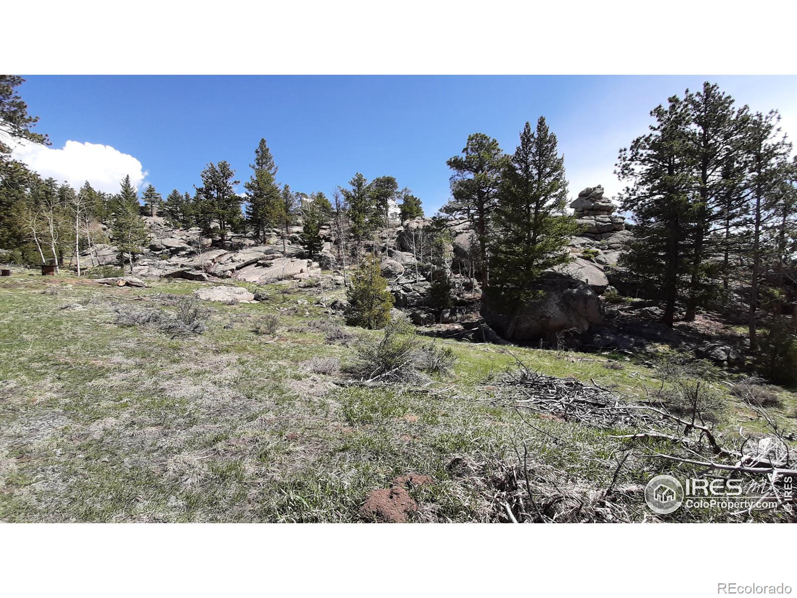 102 Mount Princeton Court Livermore CO 80536