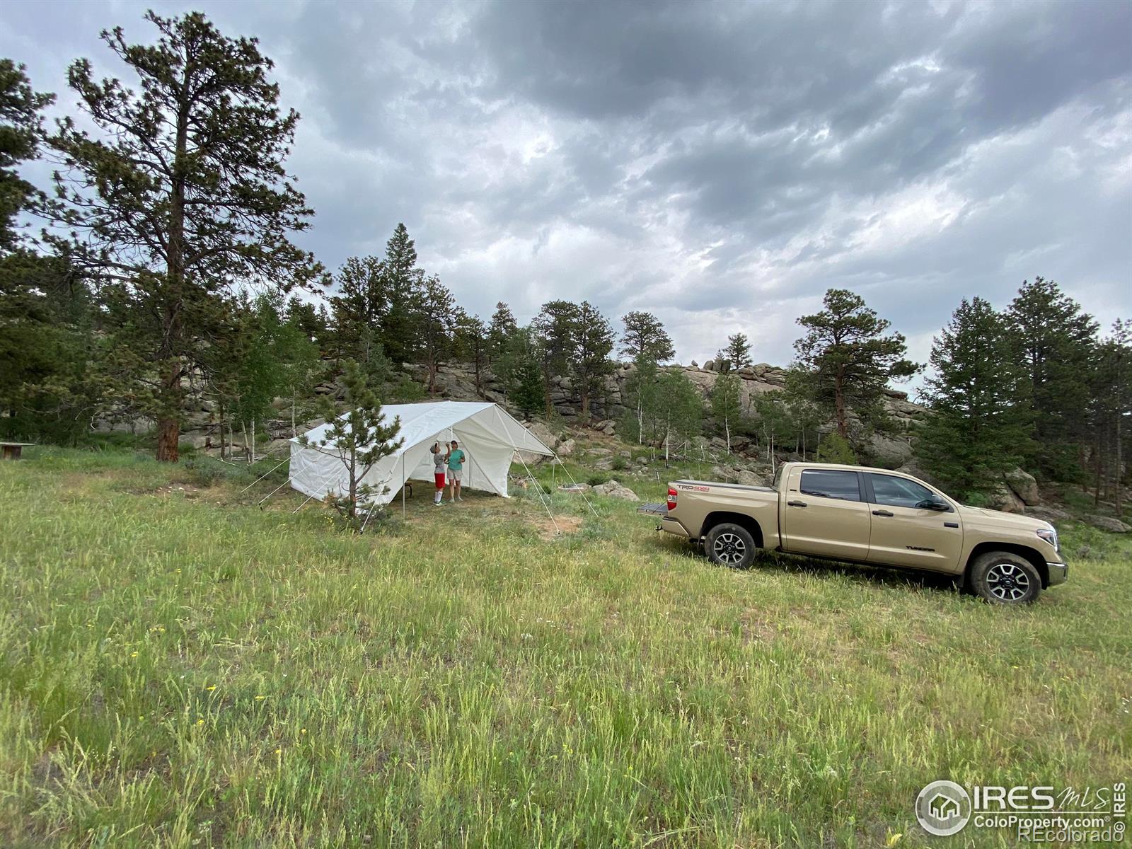 102 Mount Princeton Court Livermore CO 80536