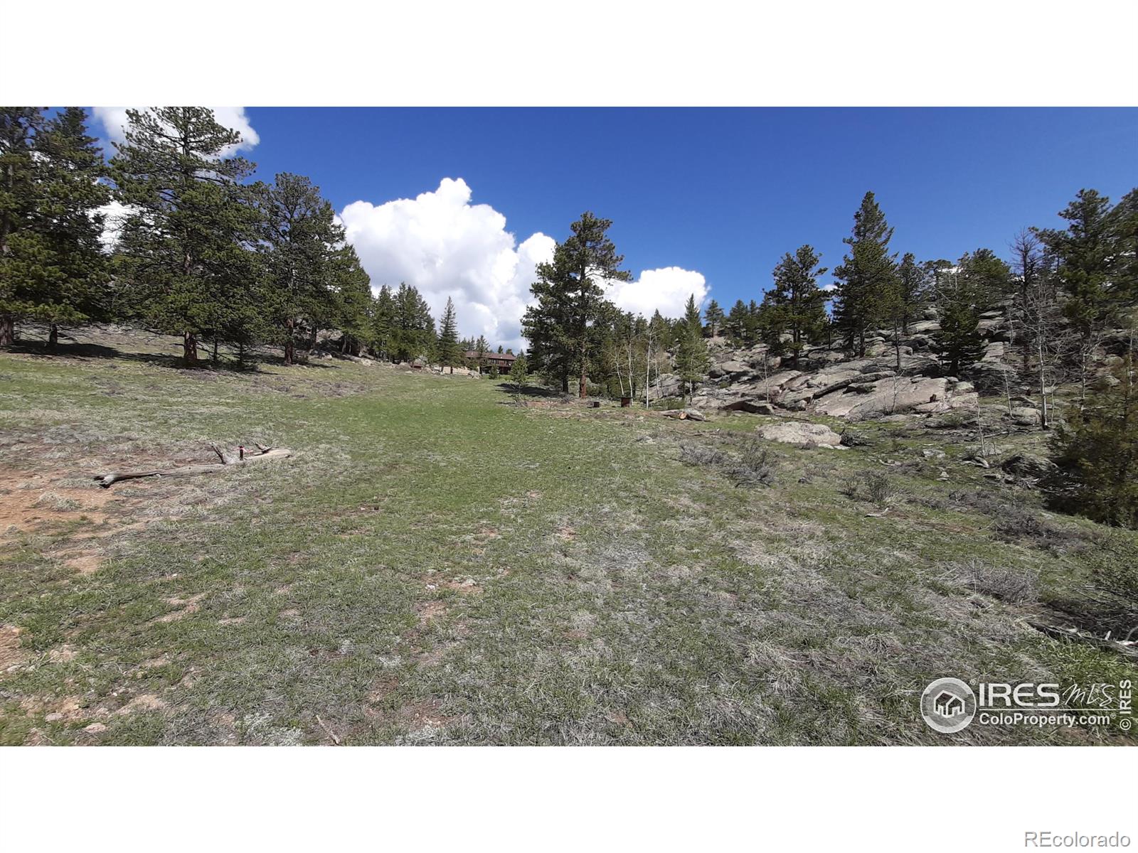 102 Mount Princeton Court Livermore CO 80536