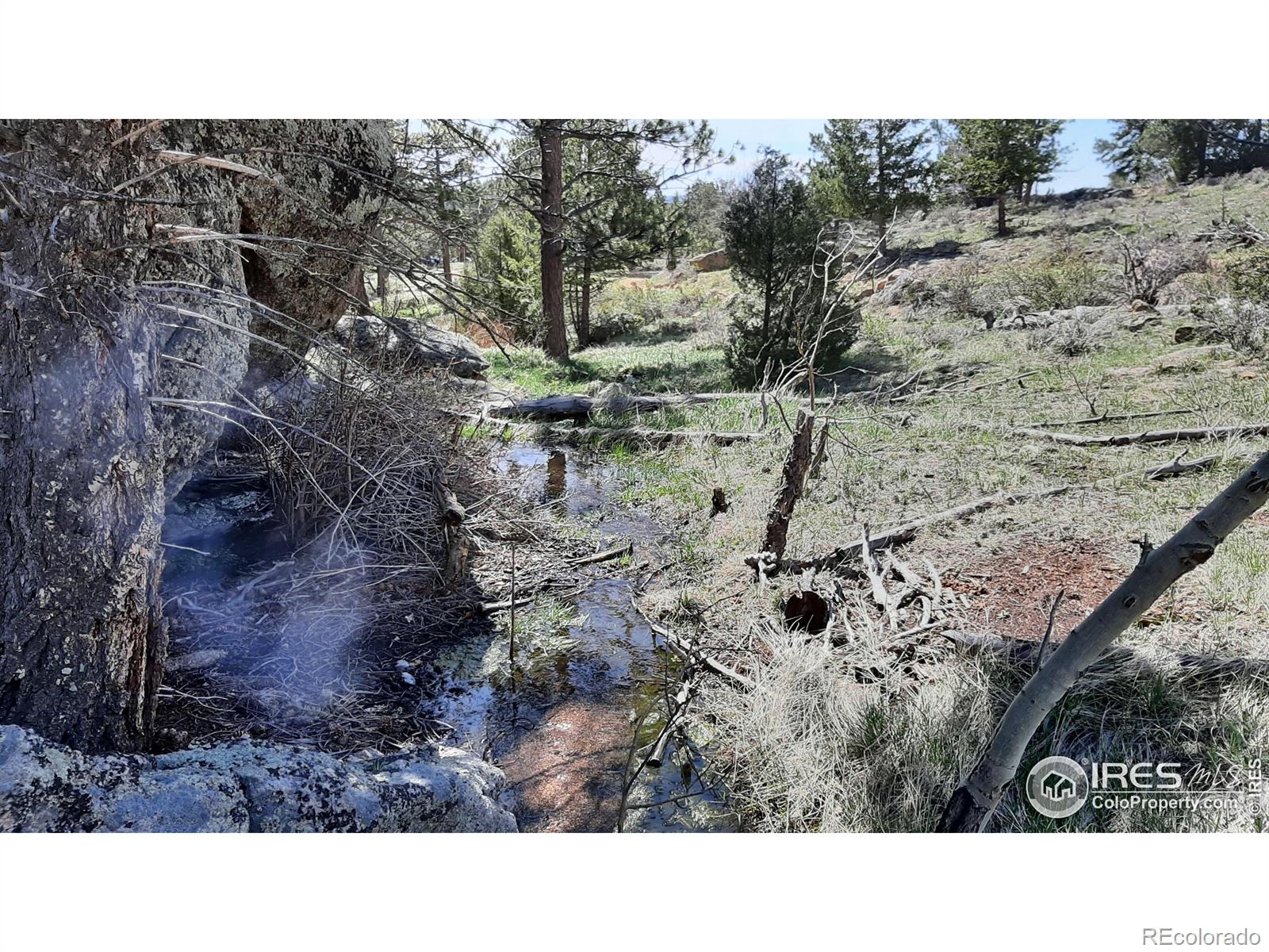 102 Mount Princeton Court Livermore CO 80536