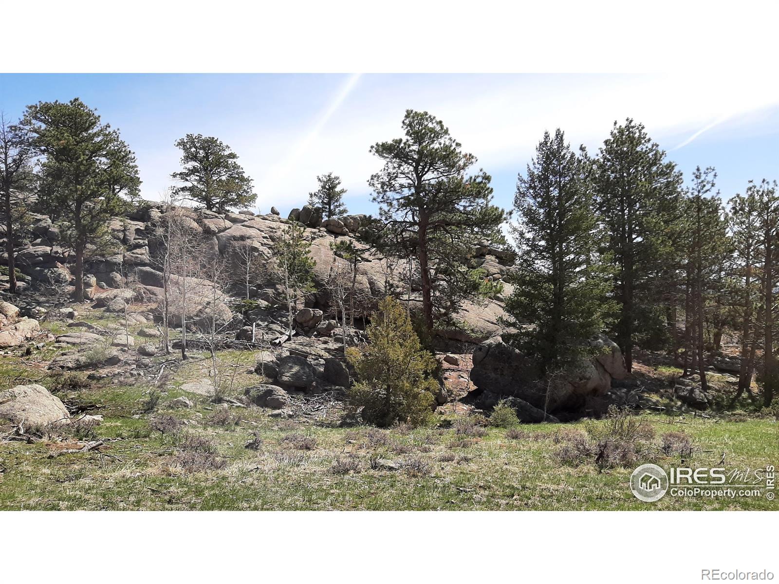 102 Mount Princeton Court Livermore CO 80536