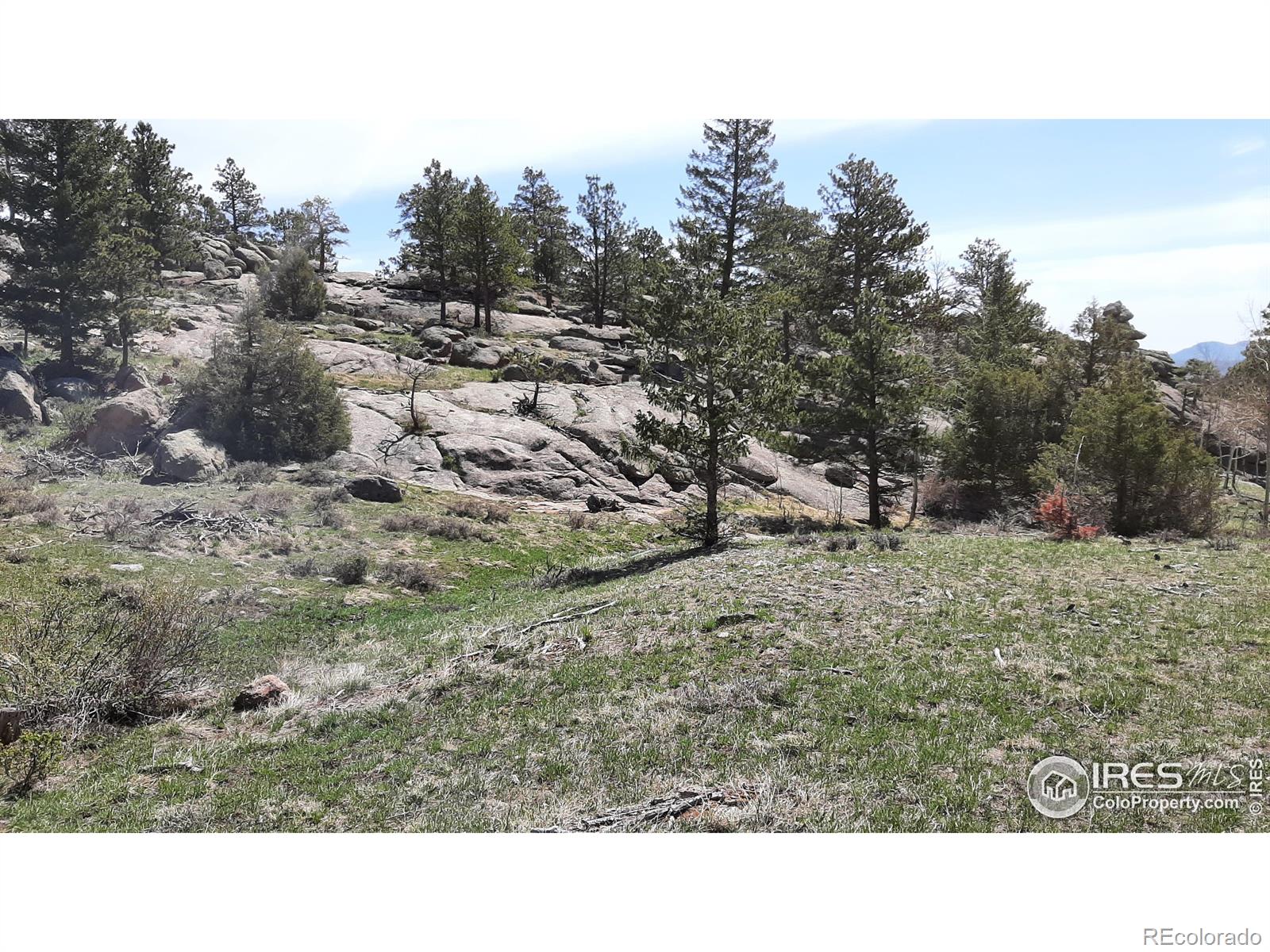 102 Mount Princeton Court Livermore CO 80536