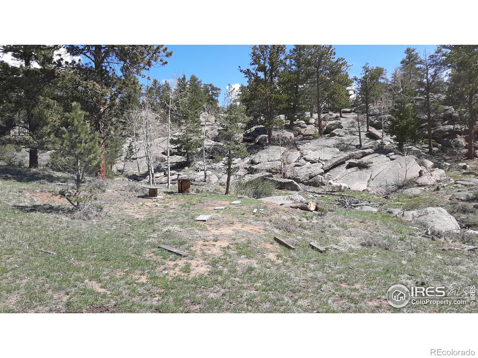 102 Mount Princeton Court Livermore CO 80536