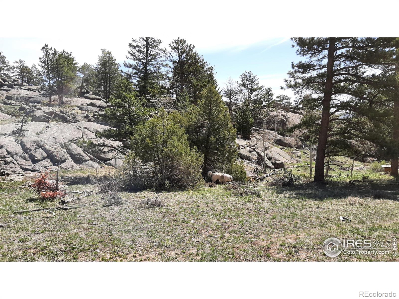 102 Mount Princeton Court Livermore CO 80536