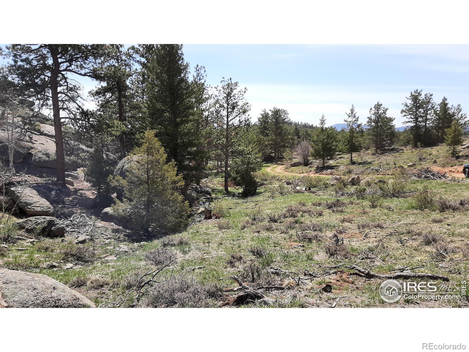 102 Mount Princeton Court Livermore CO 80536